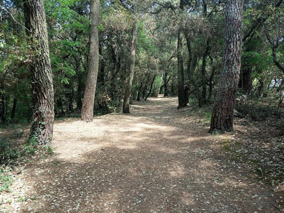 Studio Au Coeur Du Golf De Port Bourgenay, Proche Des Sables D'Olonne Talmont-Saint-Hilaire Eksteriør billede
