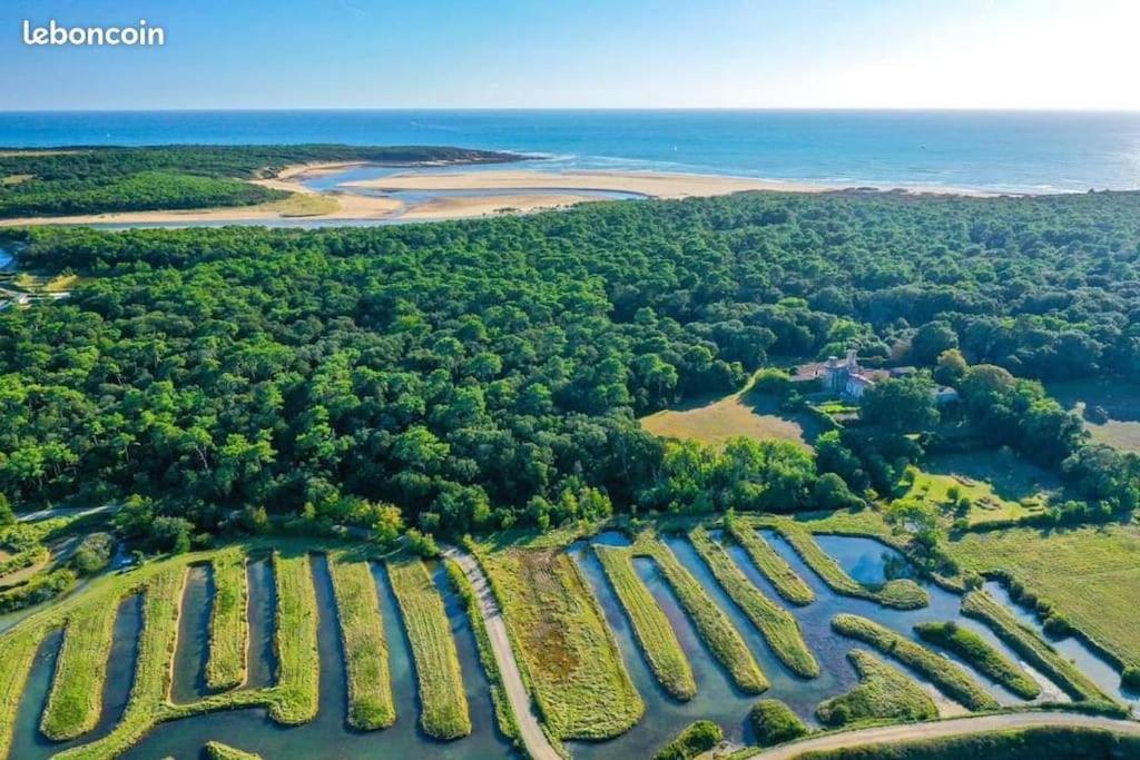 Studio Au Coeur Du Golf De Port Bourgenay, Proche Des Sables D'Olonne Talmont-Saint-Hilaire Eksteriør billede