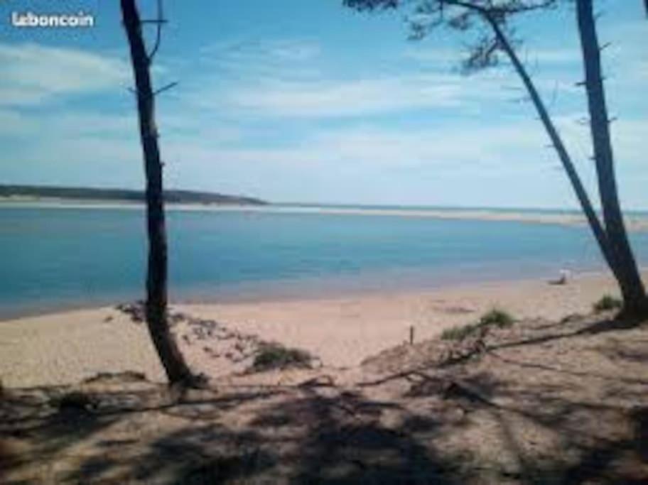 Studio Au Coeur Du Golf De Port Bourgenay, Proche Des Sables D'Olonne Talmont-Saint-Hilaire Eksteriør billede
